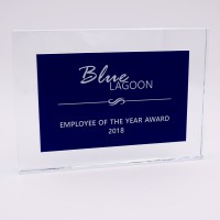 Trophée plaque bleu